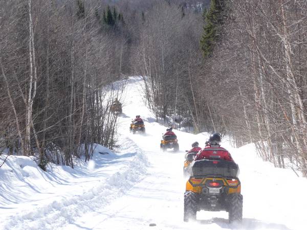 photo-quad-6.jpg